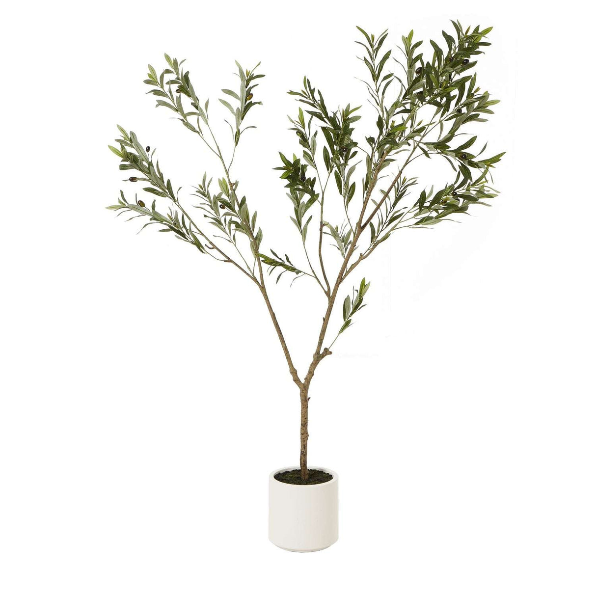 Apulia Olive Tree In White Pot 180Cm BROWN PLASTIC Shades 4 Seasons