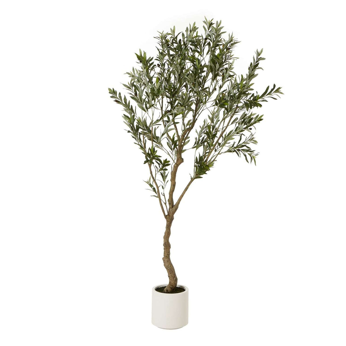 Apulia Olive Tree In White Pot 200Cm BROWN PLASTIC Shades 4 Seasons