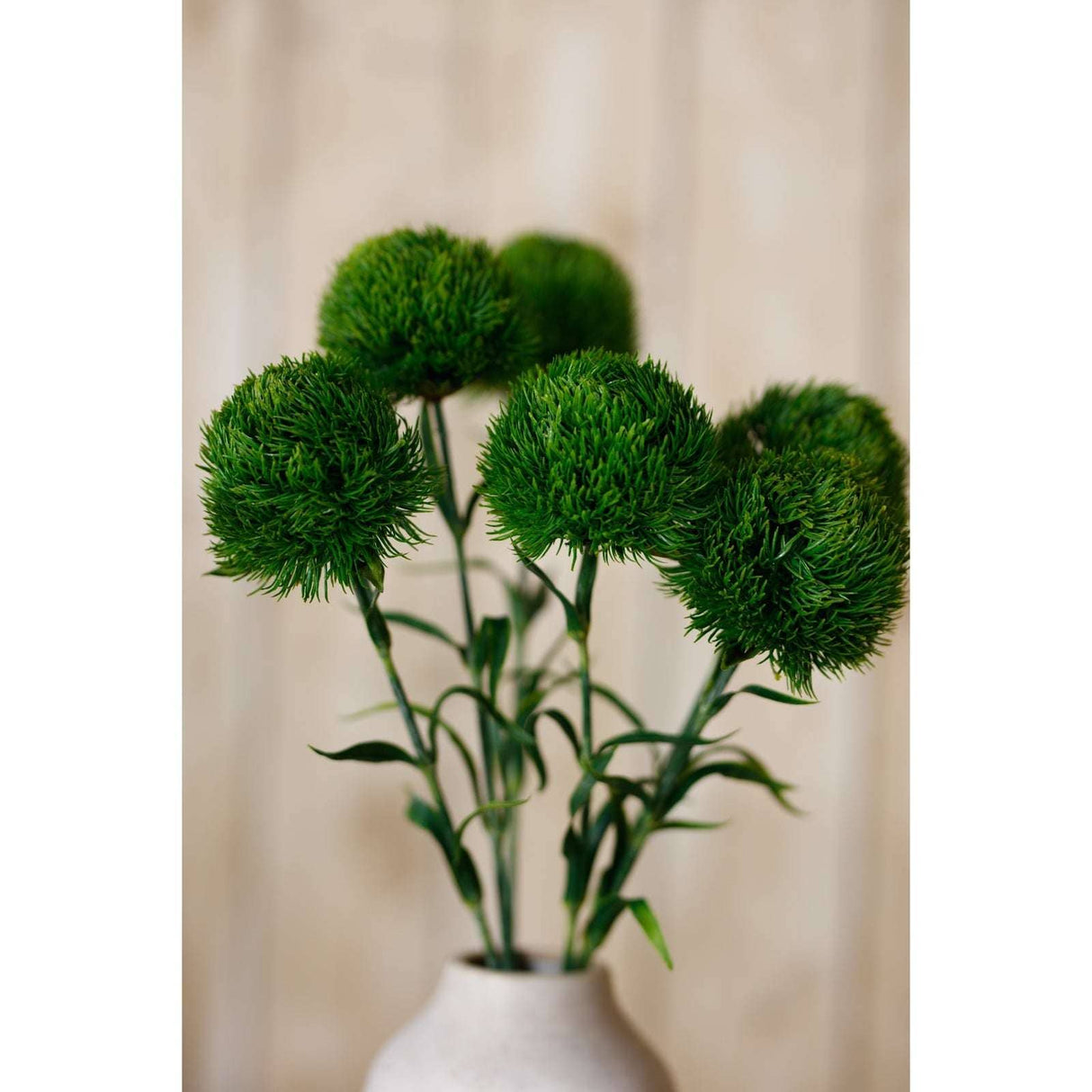 Shades 4 Seasons Dianthus Stem for Stylish Home Decor Shades 4 Seasons