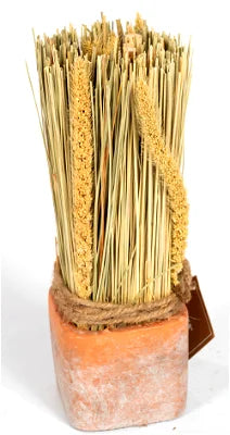 Corn Dried Grass Bouquet in Terracotta Pot - Shades 4 Seasons