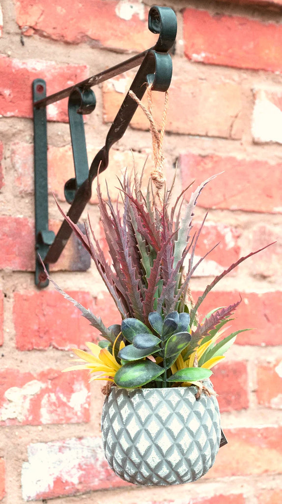 Hanging Succulents in Lattice Design Small Grey Pot - Shades 4 Seasons