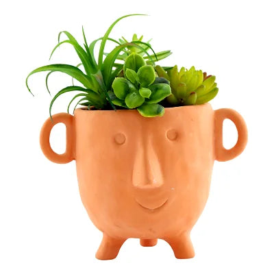 Face Terracotta Pot With Faux Cacti Large - Shades 4 Seasons