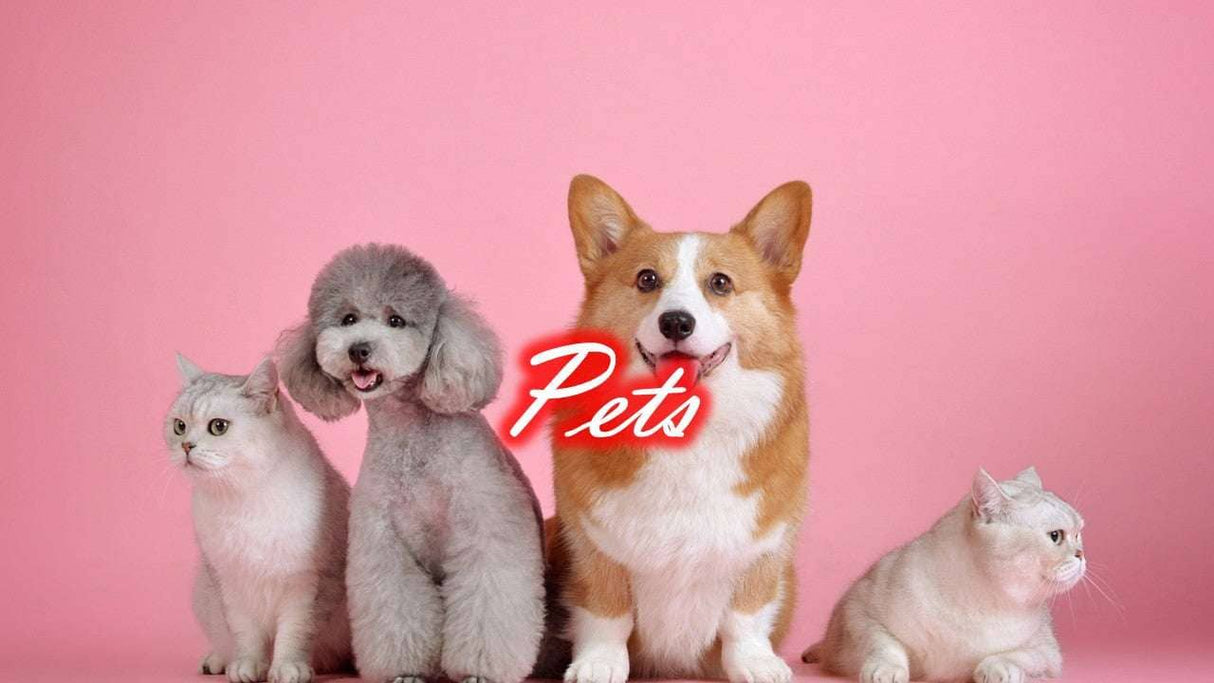 pets,pet accessories,shades4seasons