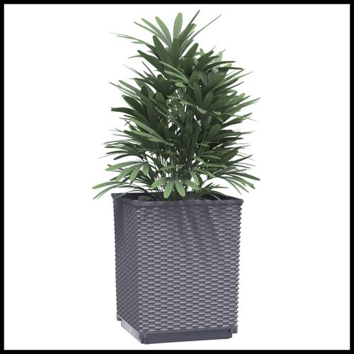 vidaXL Garden Planters 2 pcs Dark Grey 30x30x37 cm Polypropylene vidaXL