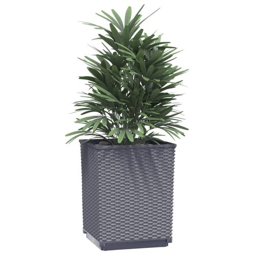 vidaXL Garden Planters 2 pcs Dark Grey 30x30x37 cm Polypropylene vidaXL