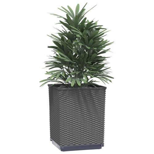vidaXL Garden Planters 2 pcs Dark Grey 30x30x37 cm Polypropylene vidaXL