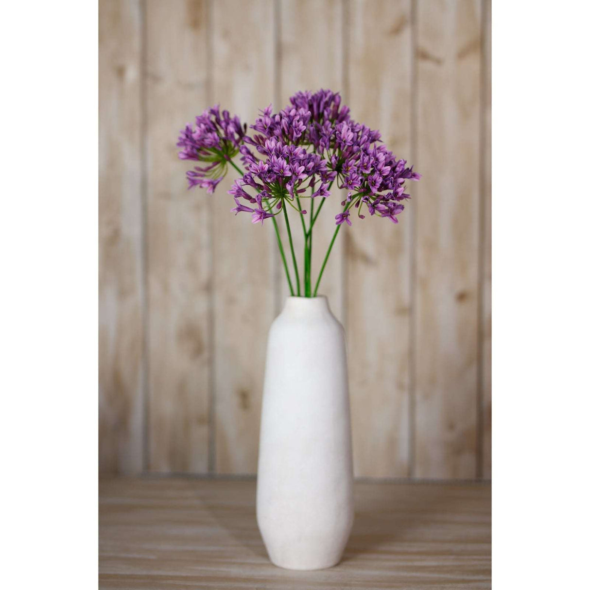 Shades 4 Seasons Agapanthus Spray for Stylish Decor Shades 4 Seasons