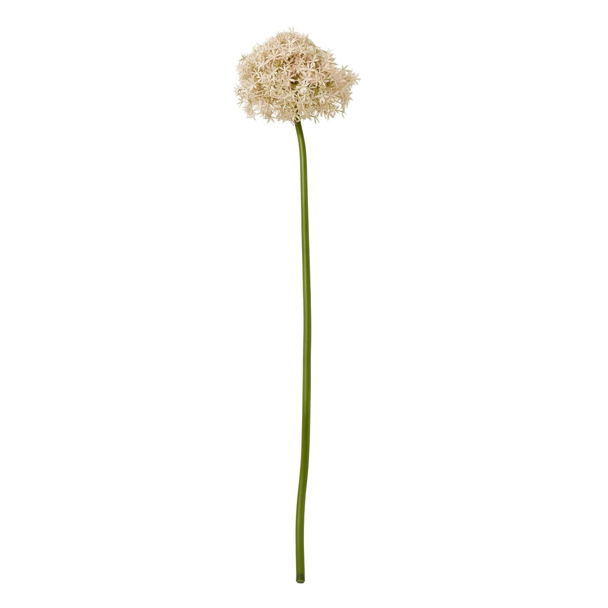 Shades 4 Seasons Allium Stem for Stylish Decor PINK PLASTIC Shades 4 Seasons