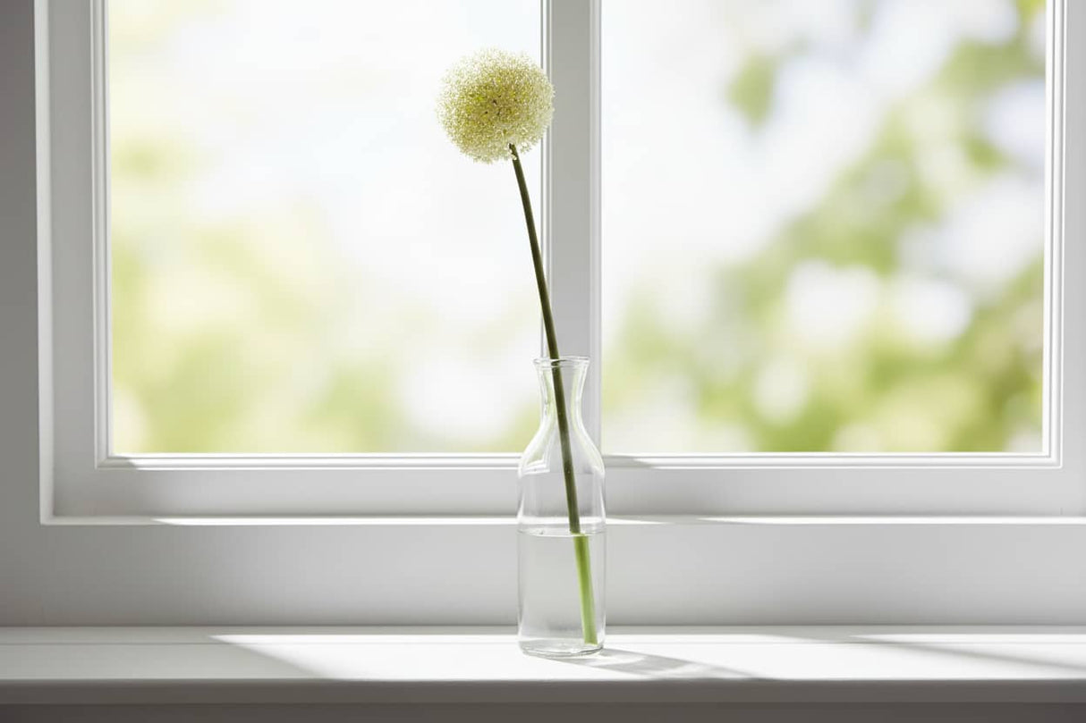 Shades 4 Seasons Allium Stem for Elegant Home Decor CREAM PLASTIC Shades 4 Seasons