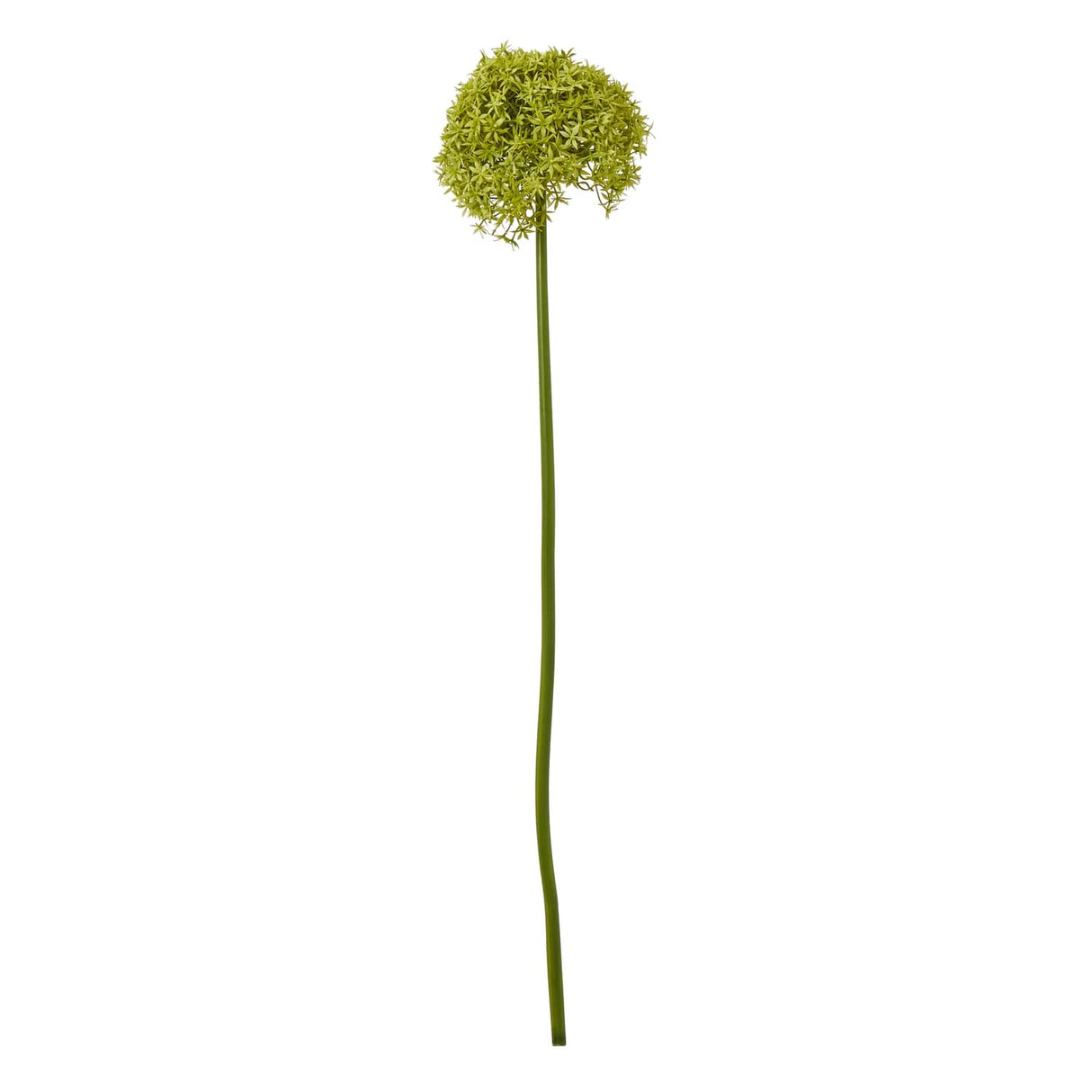 Shades 4 Seasons Allium Stem - Stylish Greenery Decor GREEN PLASTIC Shades 4 Seasons