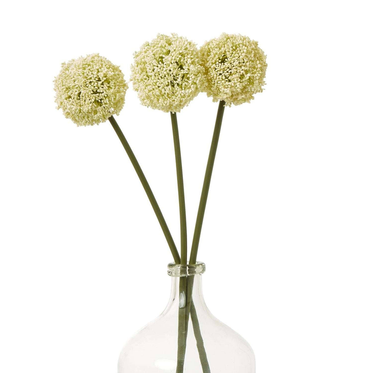 Shades 4 Seasons Allium Stem for Elegant Home Decor Shades 4 Seasons
