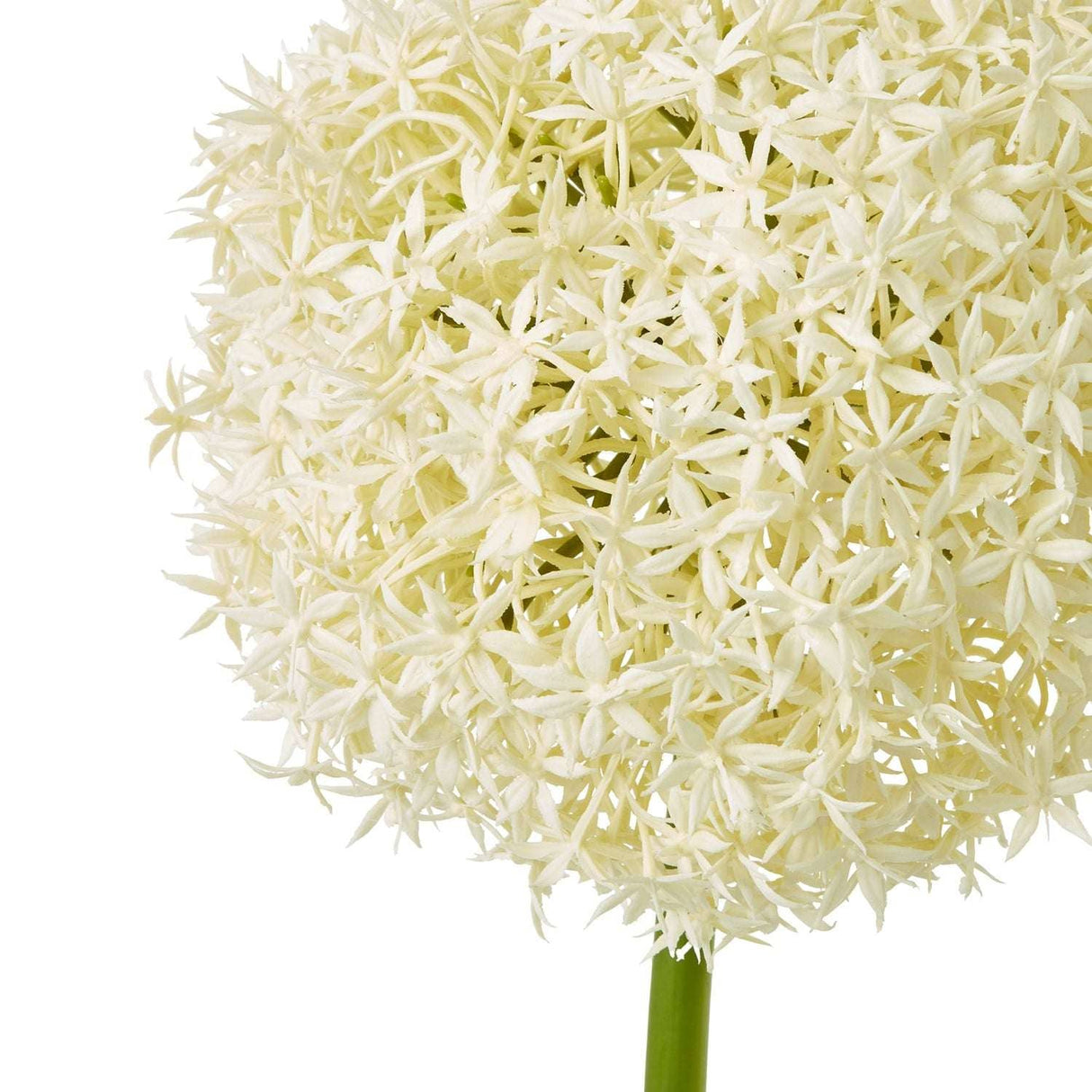 Shades 4 Seasons Allium Stem - Elegant Home Decor Shades 4 Seasons