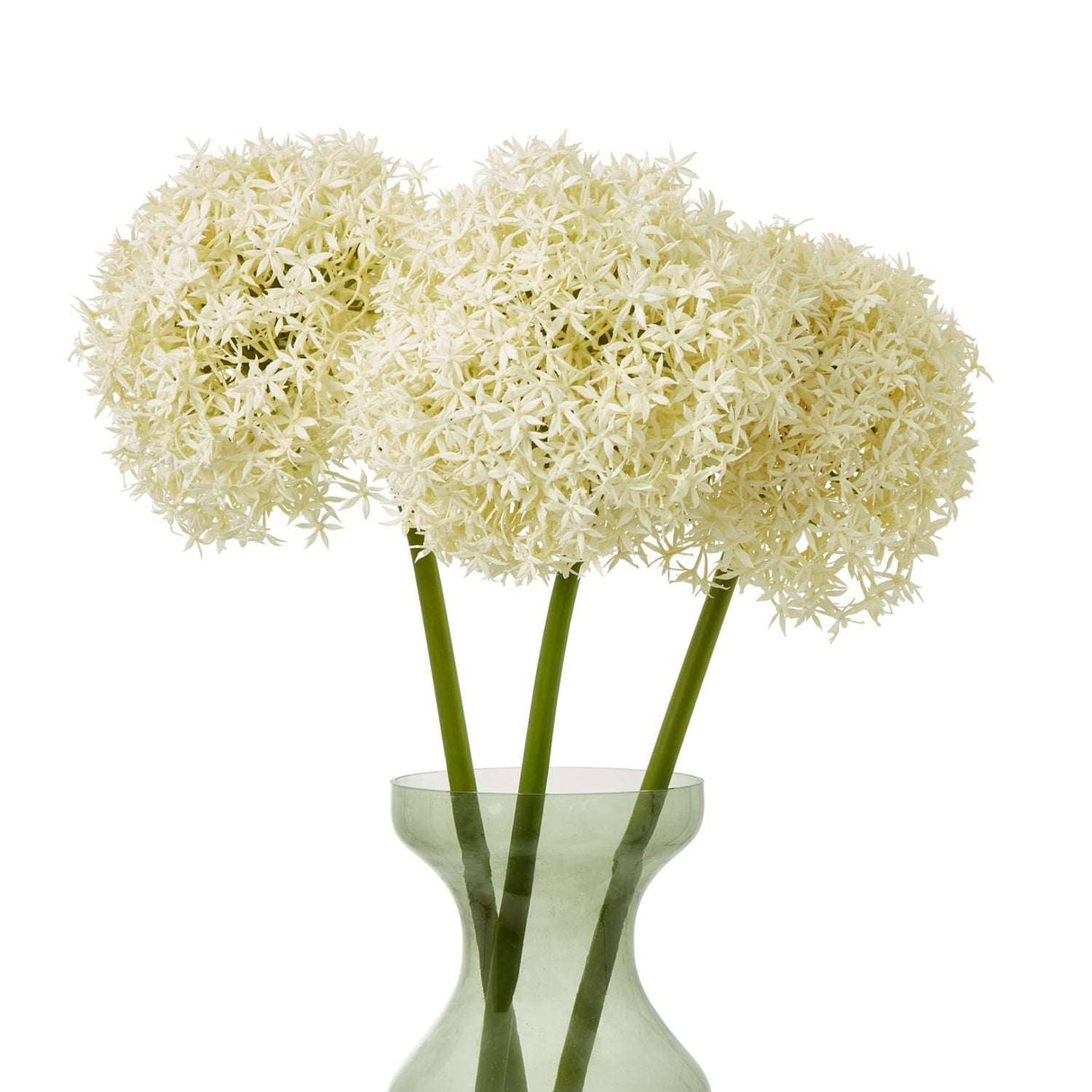 Shades 4 Seasons Allium Stem - Elegant Home Decor Shades 4 Seasons