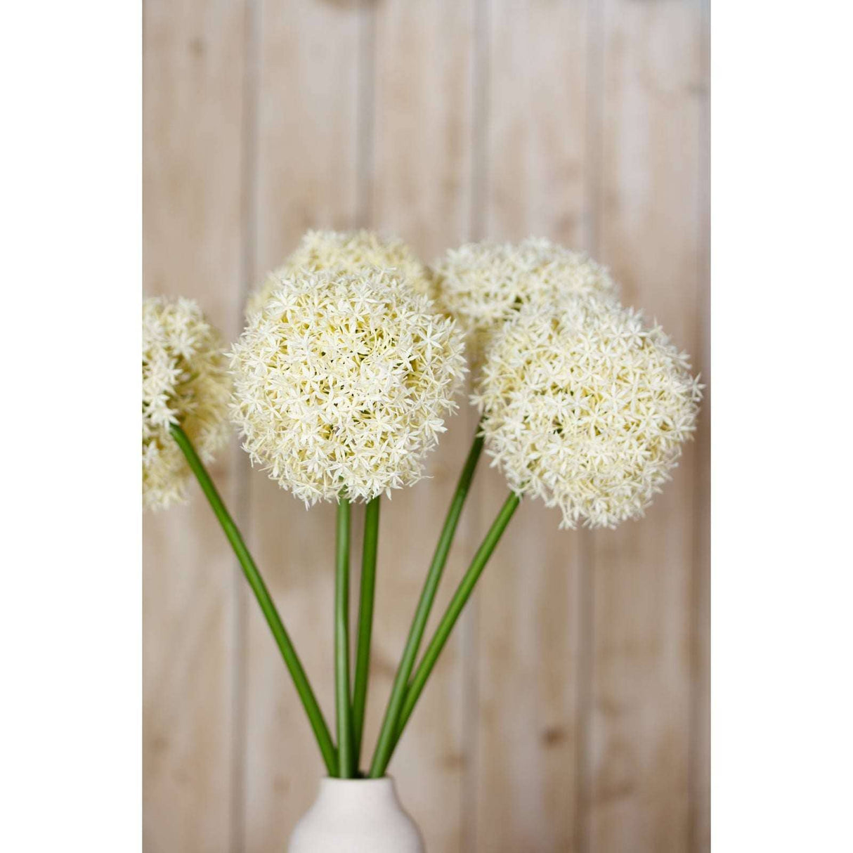 Shades 4 Seasons Allium Stem - Elegant Home Decor Shades 4 Seasons