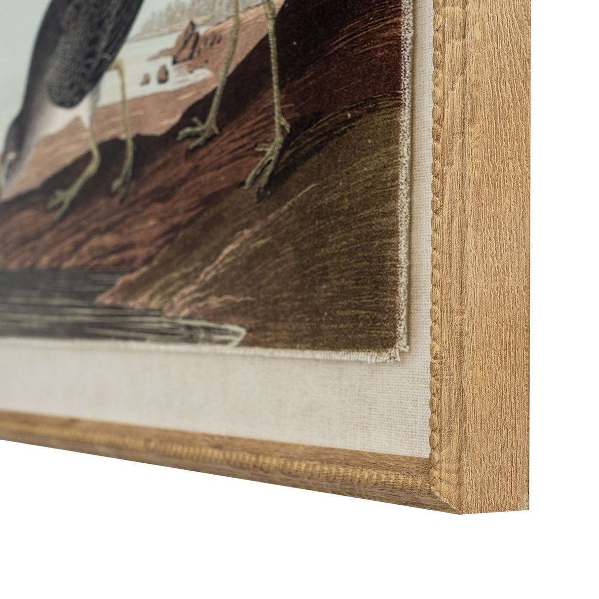 Close-up of Artwork On Linen featuring detailed bird illustration with wooden frame