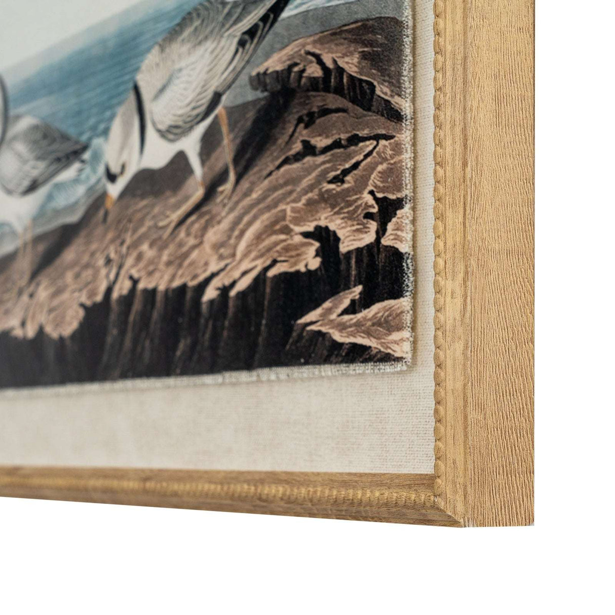 Framed artwork on linen featuring birds in a coastal setting by Shades 4 Seasons