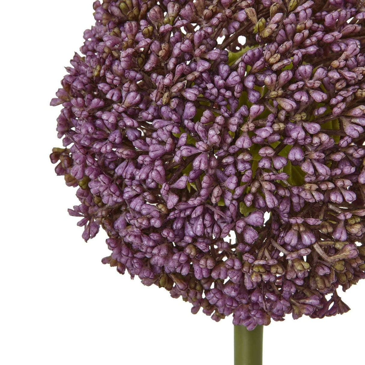 Shades 4 Seasons Allium Stem for Stylish Home Decor Shades 4 Seasons