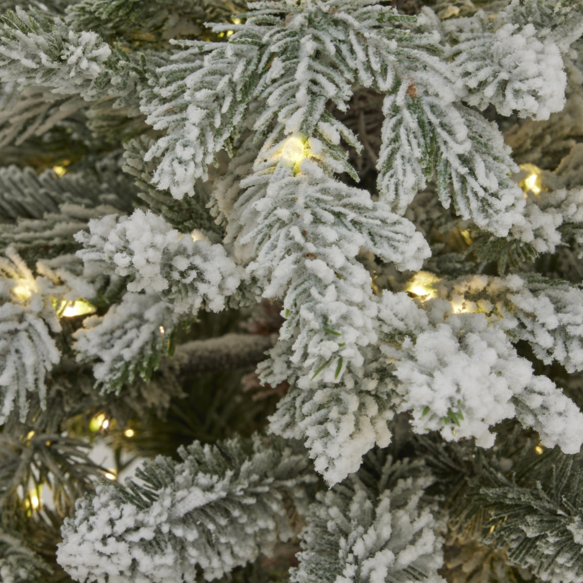 Frosted Christmas Tree branches adorned with soft warm white lights for festive decoration