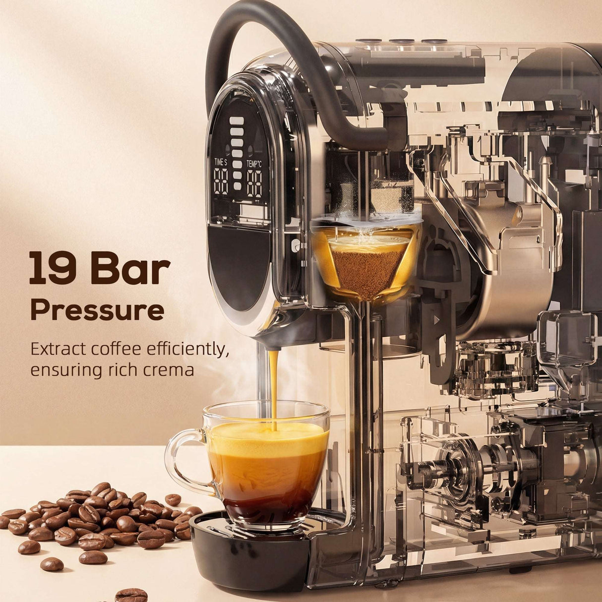 Wise Galleria Coffee Machine with 19 Bar Pressure for Rich Crema and Efficient Extraction