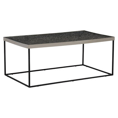 Akola Rectangle Coffee Table in Silver and Glass Orsina