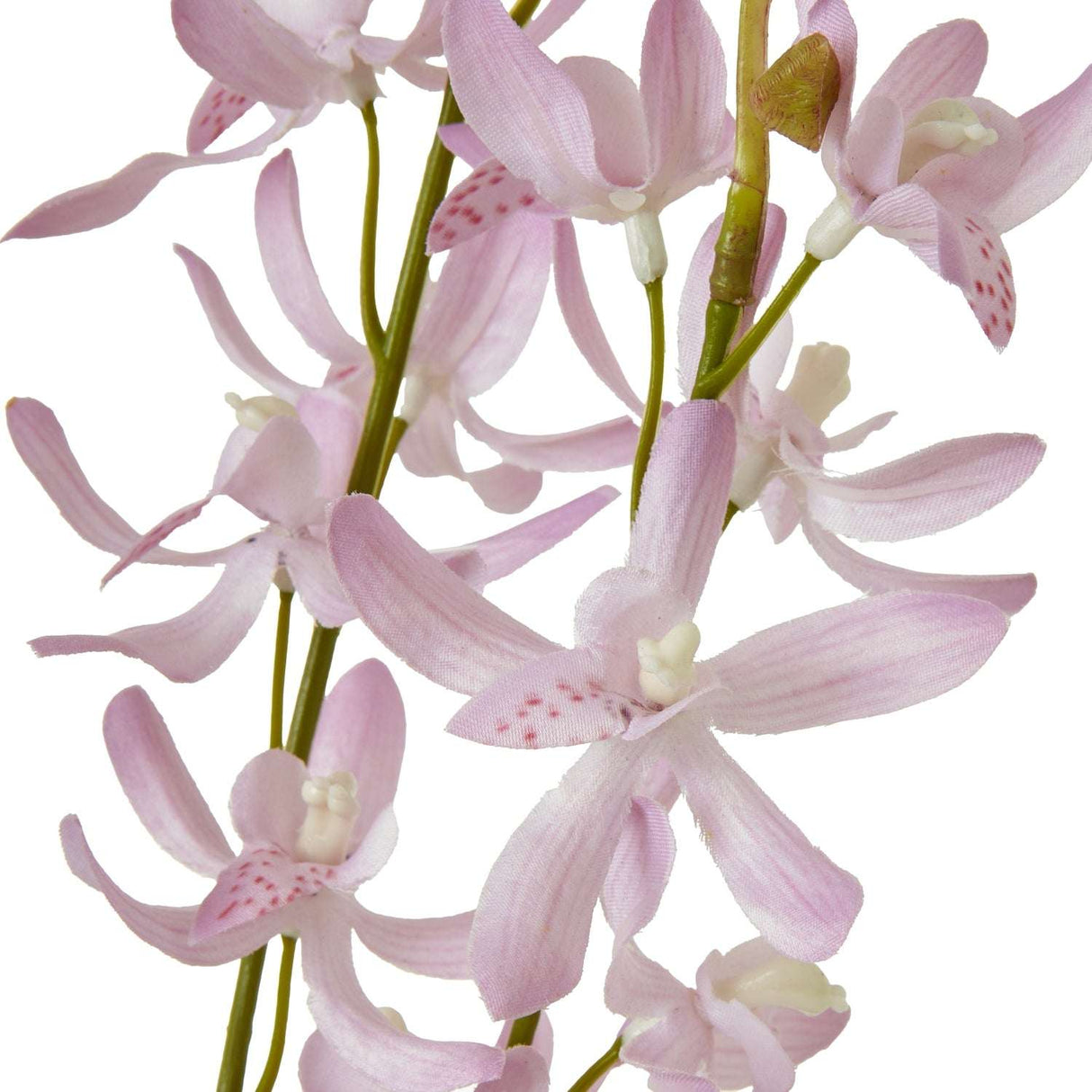 Shades 4 Seasons Cymbidium Spray for Elegant Decor Shades 4 Seasons