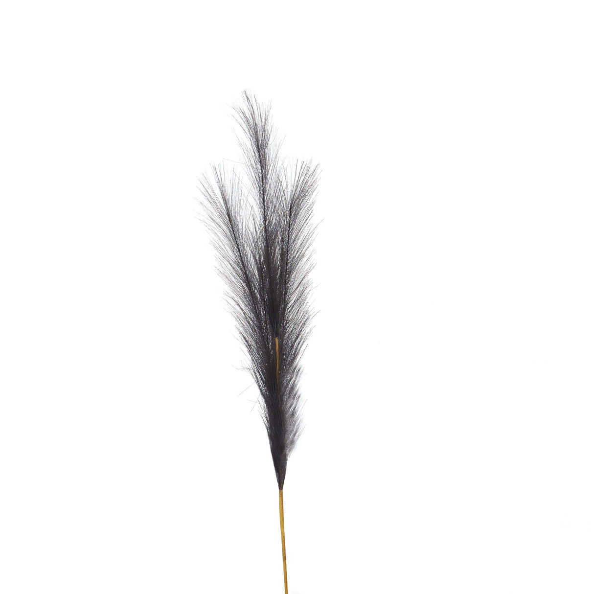 Shades 4 Seasons Black Pampas Grass Stem Decor GREY PLASTIC Shades 4 Seasons