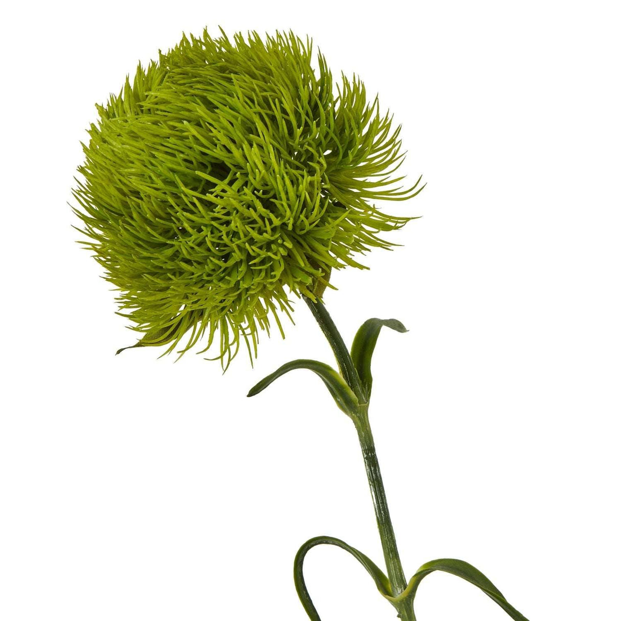 Dianthus Stem - Stylish Greenery by Shades 4 Seasons Shades 4 Seasons