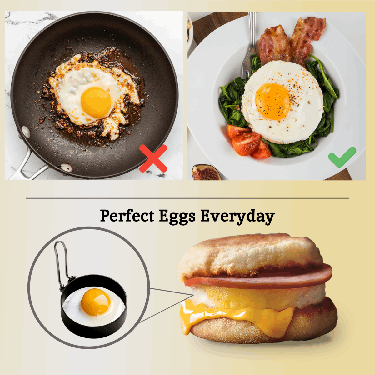 Orsina Egg Rings for Cooked Eggs without Mess, Ideal for Breakfast Sandwiches