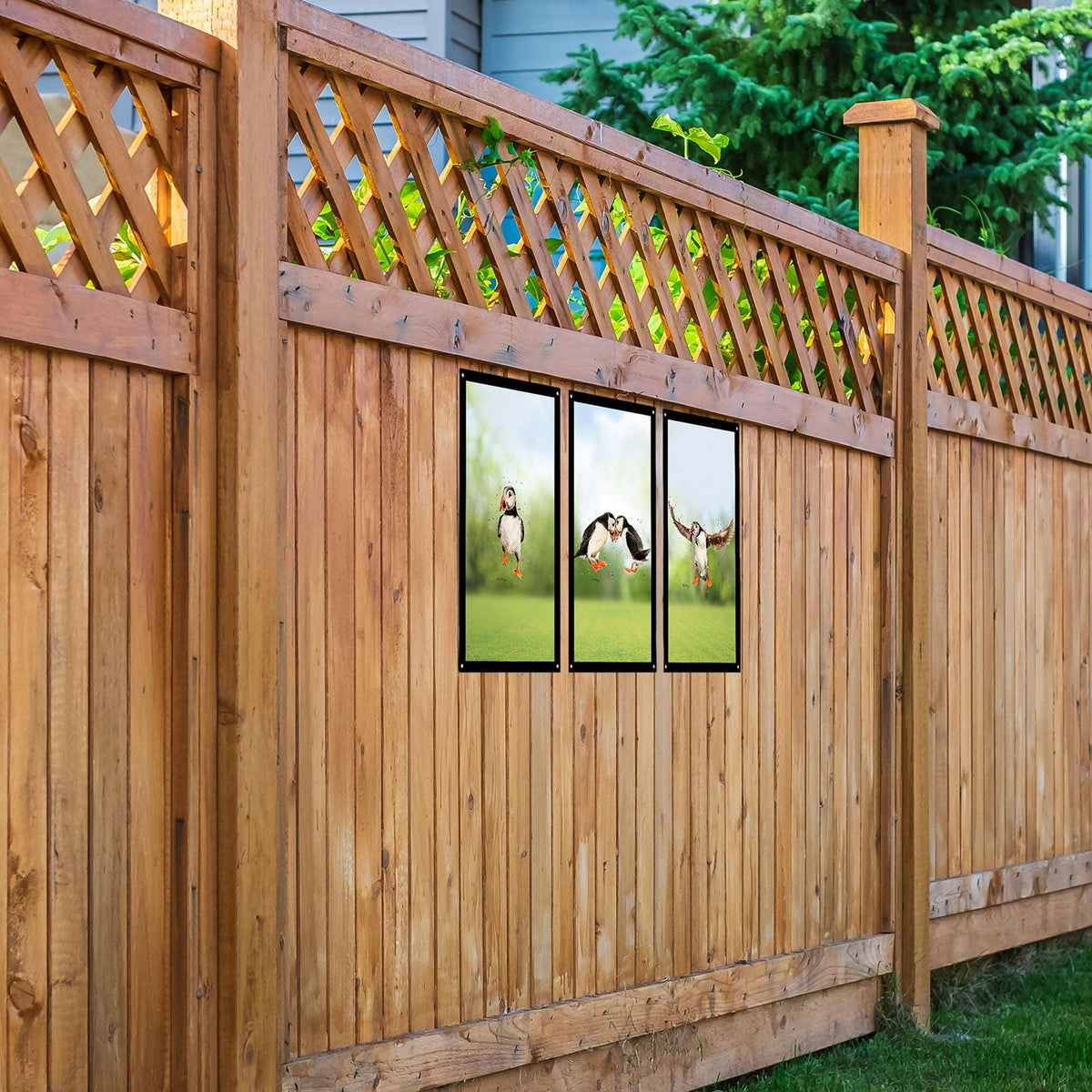 SunCatcher-UK Garden Mirror Set featuring three decorative mirrors against a wooden fence
