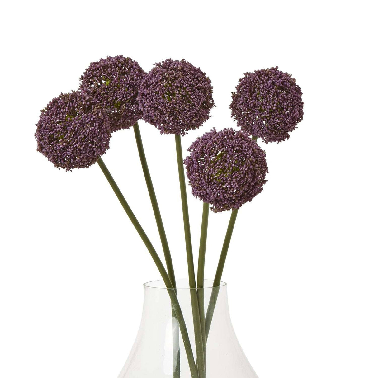 Shades 4 Seasons Allium Stem for Stylish Home Decor Shades 4 Seasons