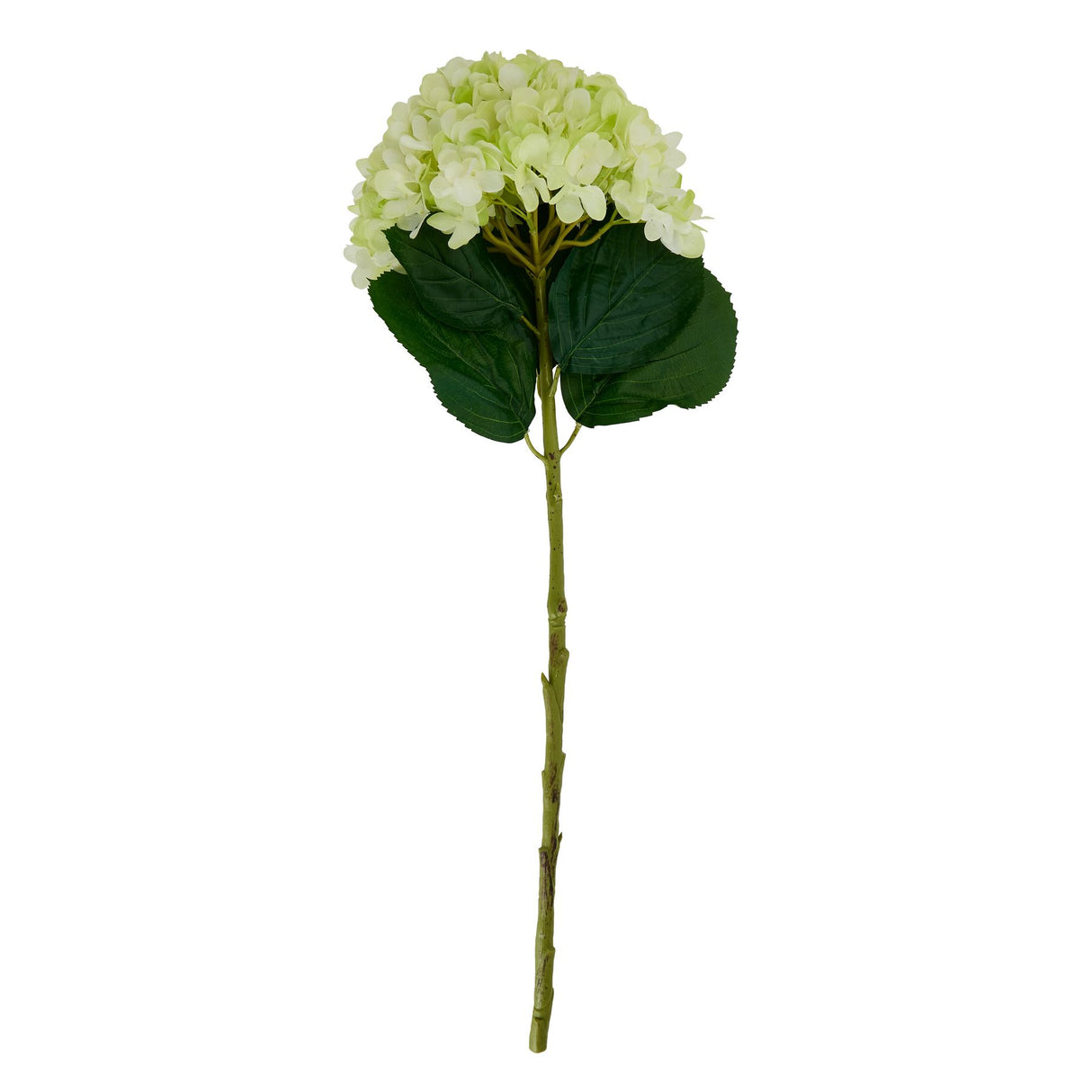 Shades 4 Seasons Realistic Green Hydrangea Single Stem Shades 4 Seasons