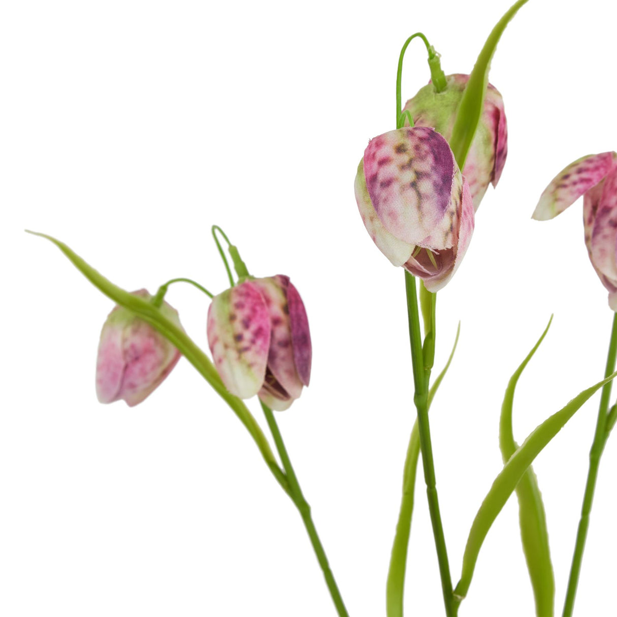 The Natural Garden Collection Purple Fritillaria Stem Shades 4 Seasons