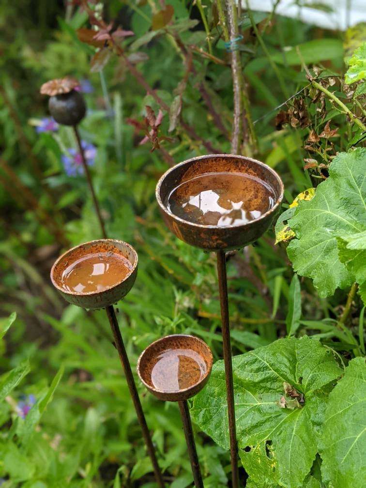 Rustic metal Rain Catcher garden feature with three bowls collecting rainwater among greenery