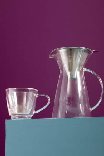 Orsina Glass Mug for Stylish Tea Moments Orsina