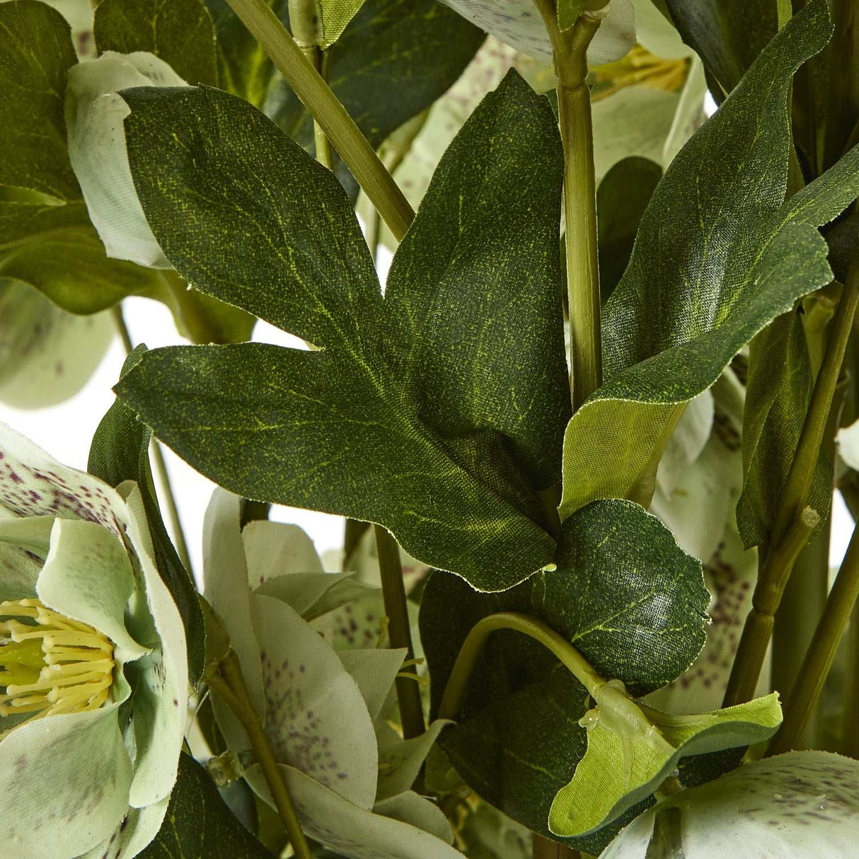 Shades 4 Seasons Green Hellebore Artificial Flower Arrangement Shades 4 Seasons