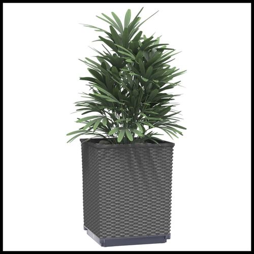 vidaXL Garden Planters 2 pcs Dark Grey 30x30x37 cm Polypropylene vidaXL