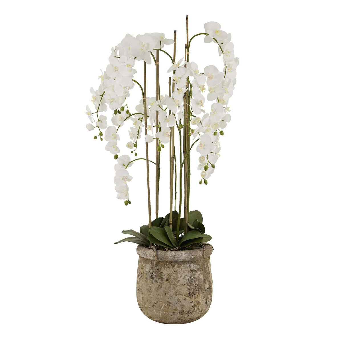 Large White Orchid In Antique Stone Pot WHITE PLASTIC Shades 4 Seasons