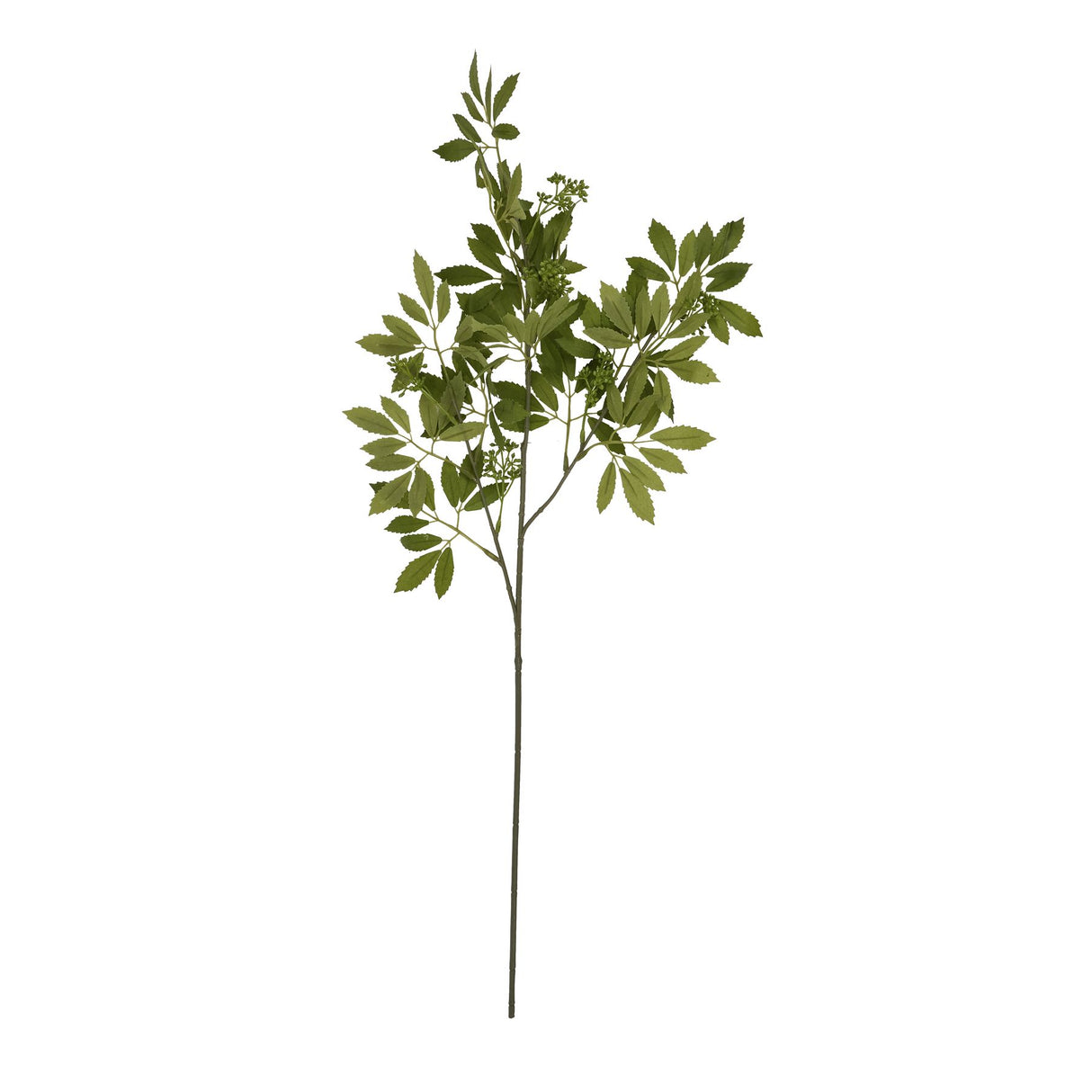 Shades 4 Seasons Lifelike Fennel Stem - Artificial Greenery Shades 4 Seasons