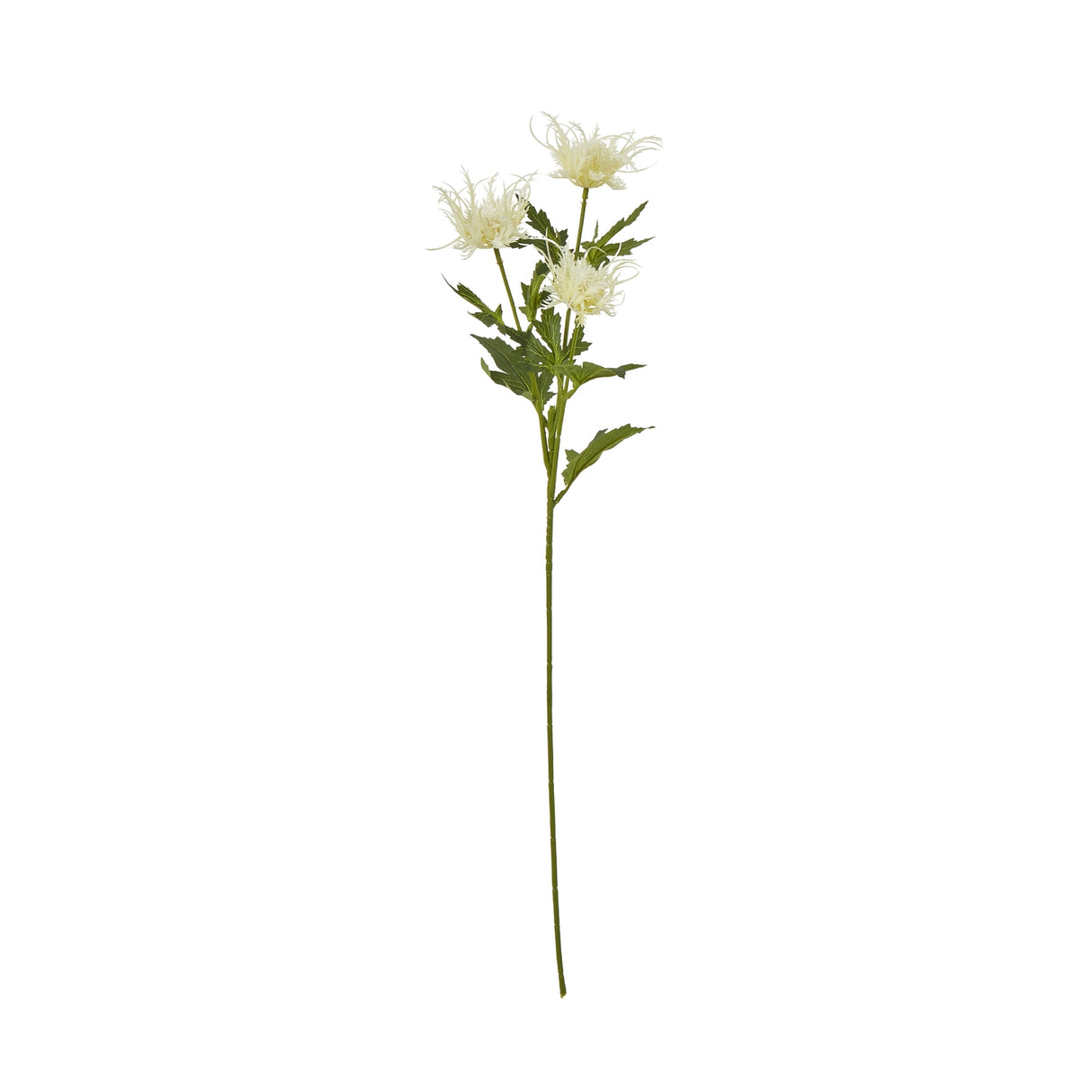 Shades 4 Seasons Holly Spray for Elegant Floral Displays CREAM PLASTIC Shades 4 Seasons