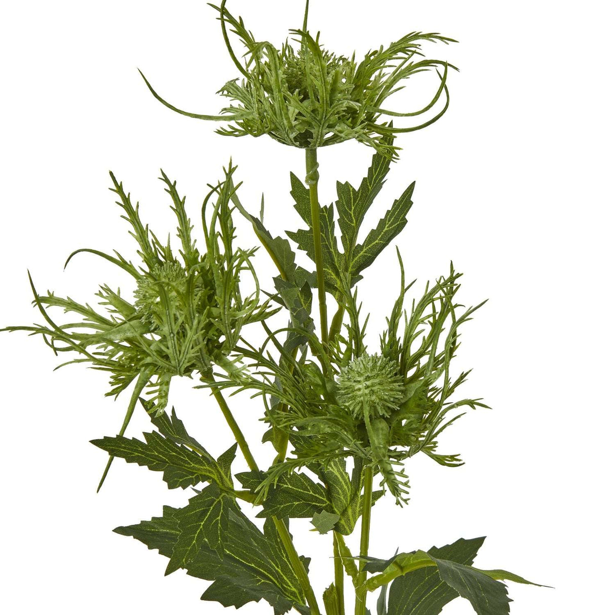 Shades 4 Seasons Sea Holly Spray for Home Decor Shades 4 Seasons