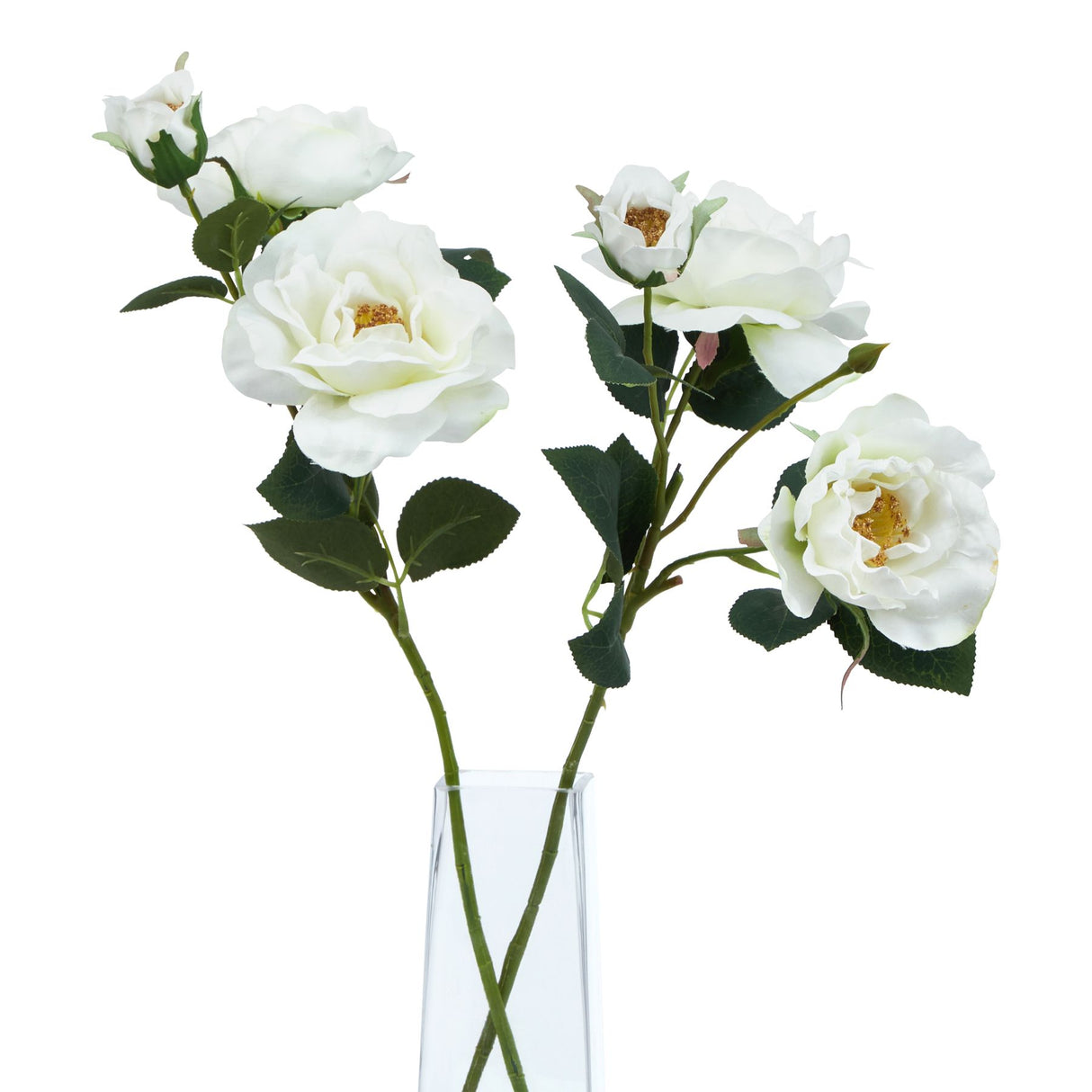 The Natural Garden Collection White Tea Rose Shades 4 Seasons