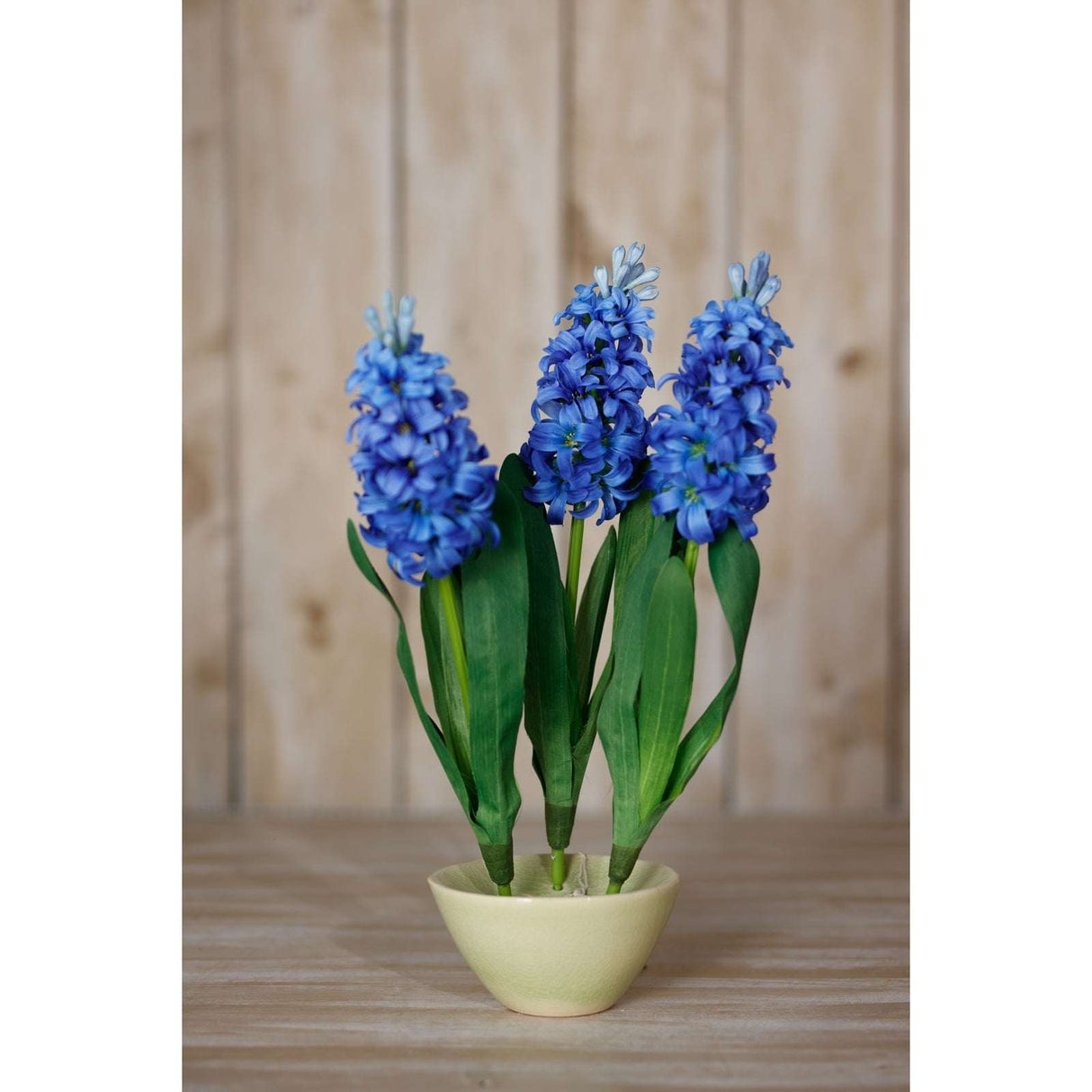 Shades 4 Seasons Hyacinth Stem - Perfect Home Accessory Shades 4 Seasons