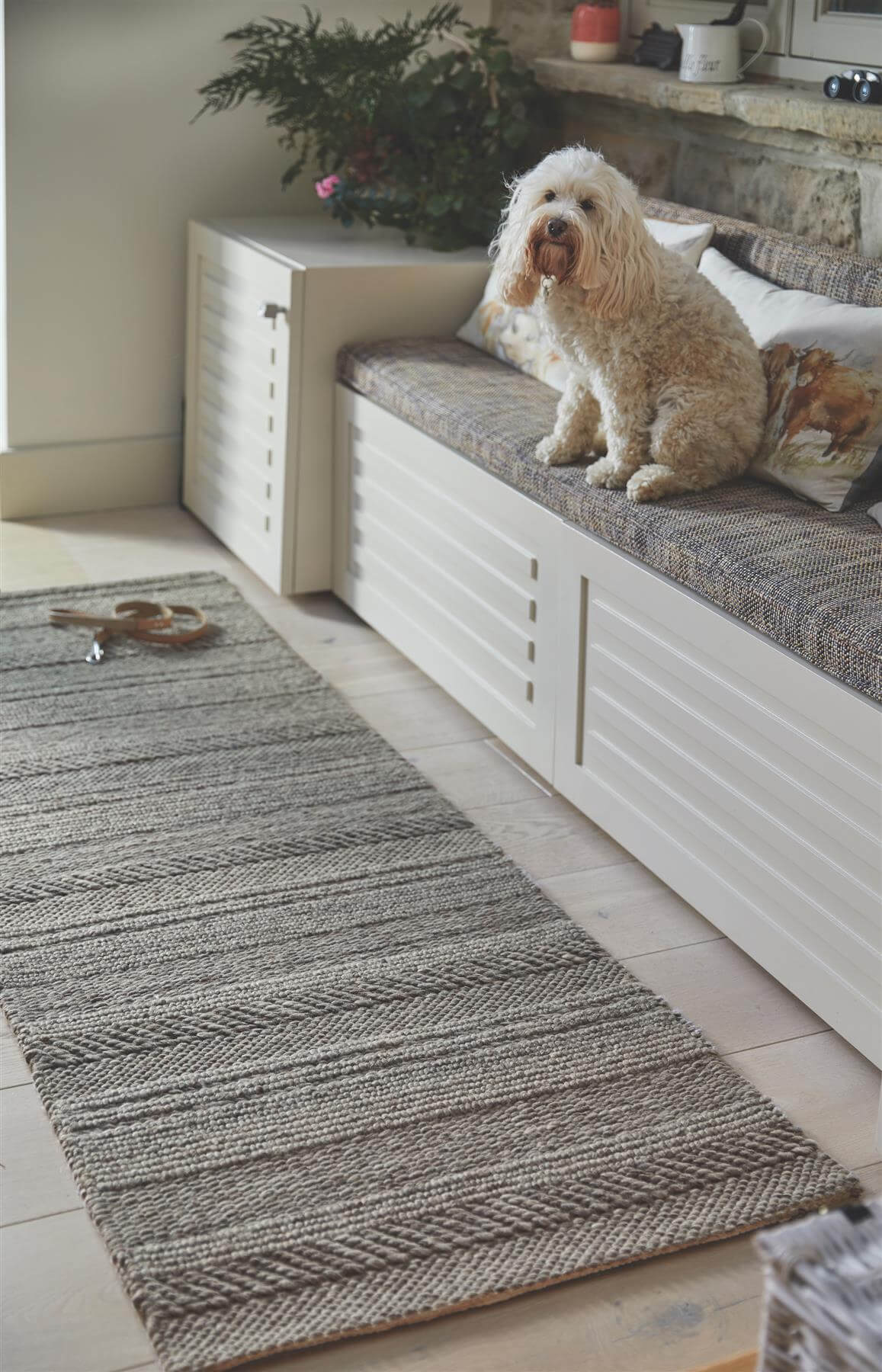 Stylish knitted rug in a neutral tone, enhancing a cosy living space with a dog lounging nearby
