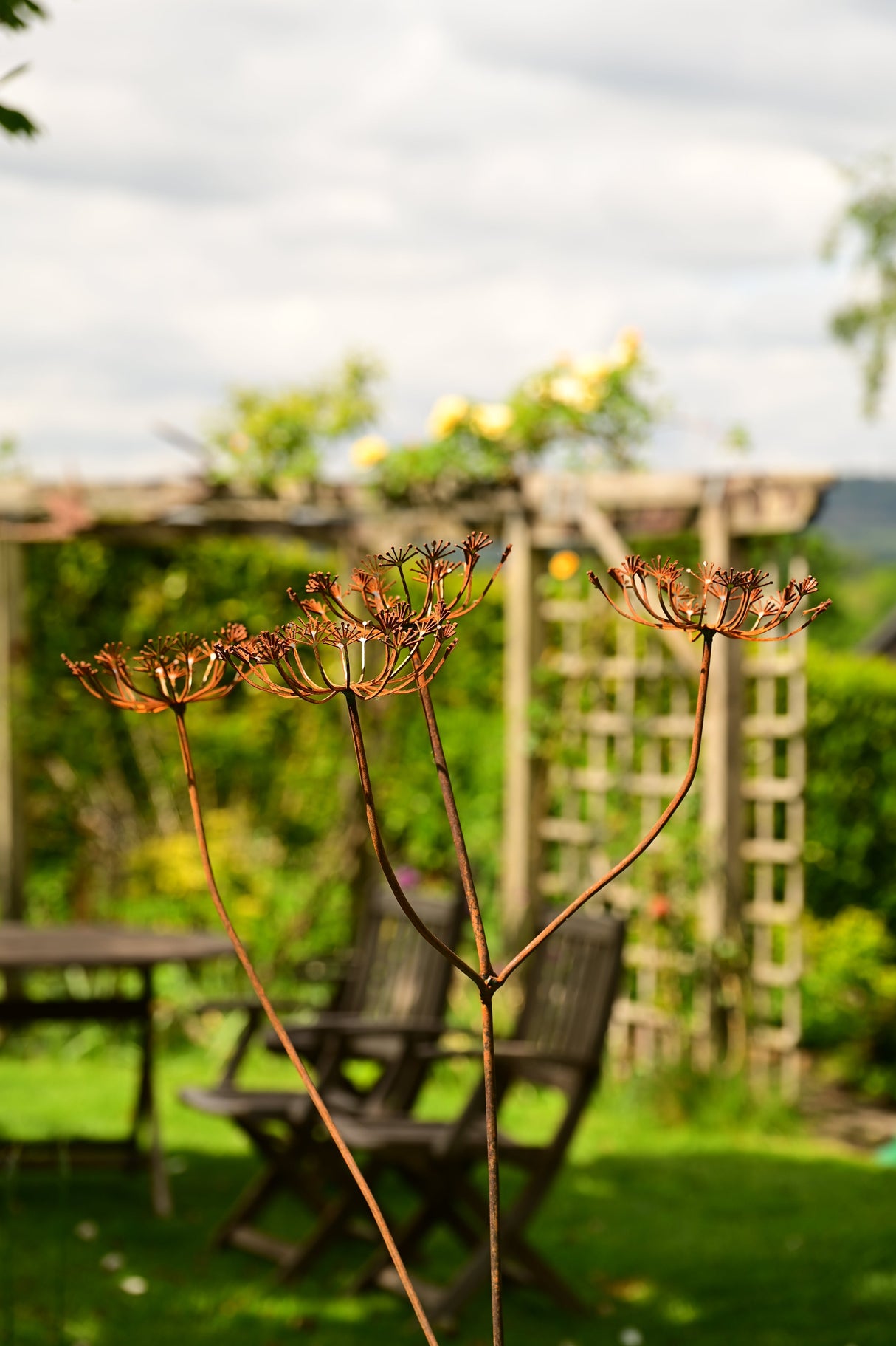 Elegant Metal Cow Parsley garden decoration adding charm to the outdoor space