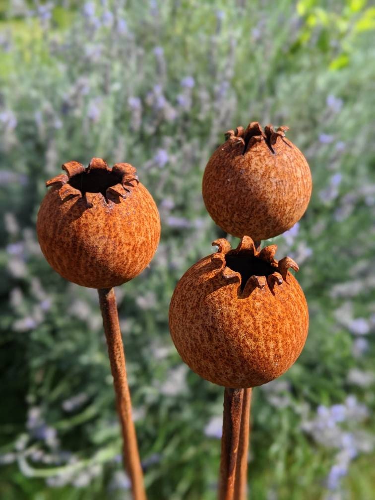 Three rustic Metal Poppy Seedhead sculptures in natural earthy tones with textured detail