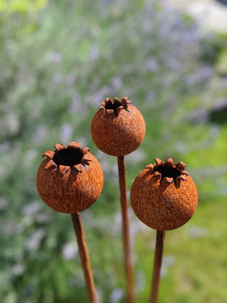 Set of three rustic Metal Poppy Seedhead decorations with natural texture for home decor