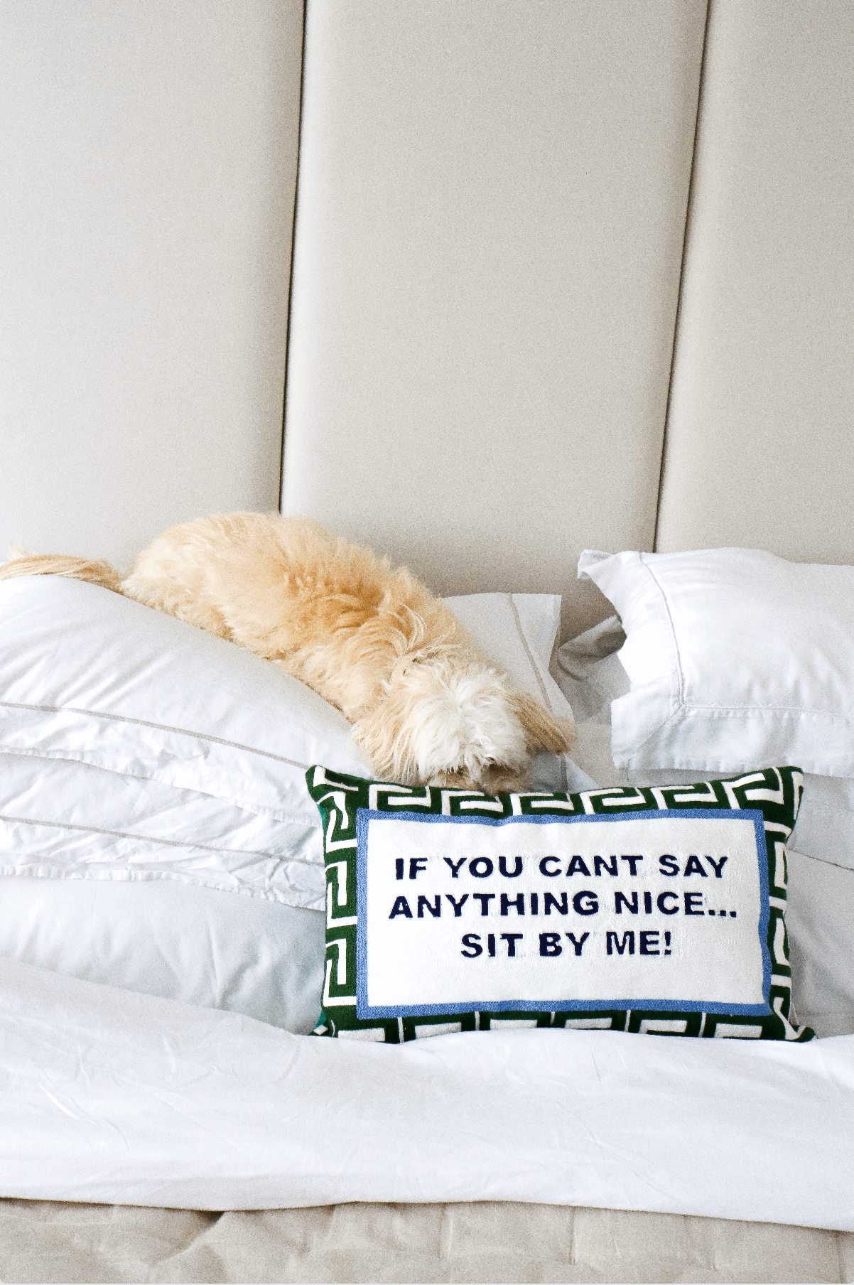 If You Can't Say Anything Nice...Sit By Me Needlepoint Cushion The Pillow Drop