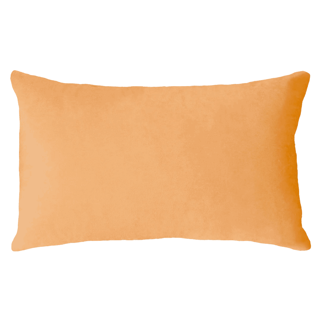 The Pillow Drop Needlepoint Cushion for Scorpio Design The Pillow Drop