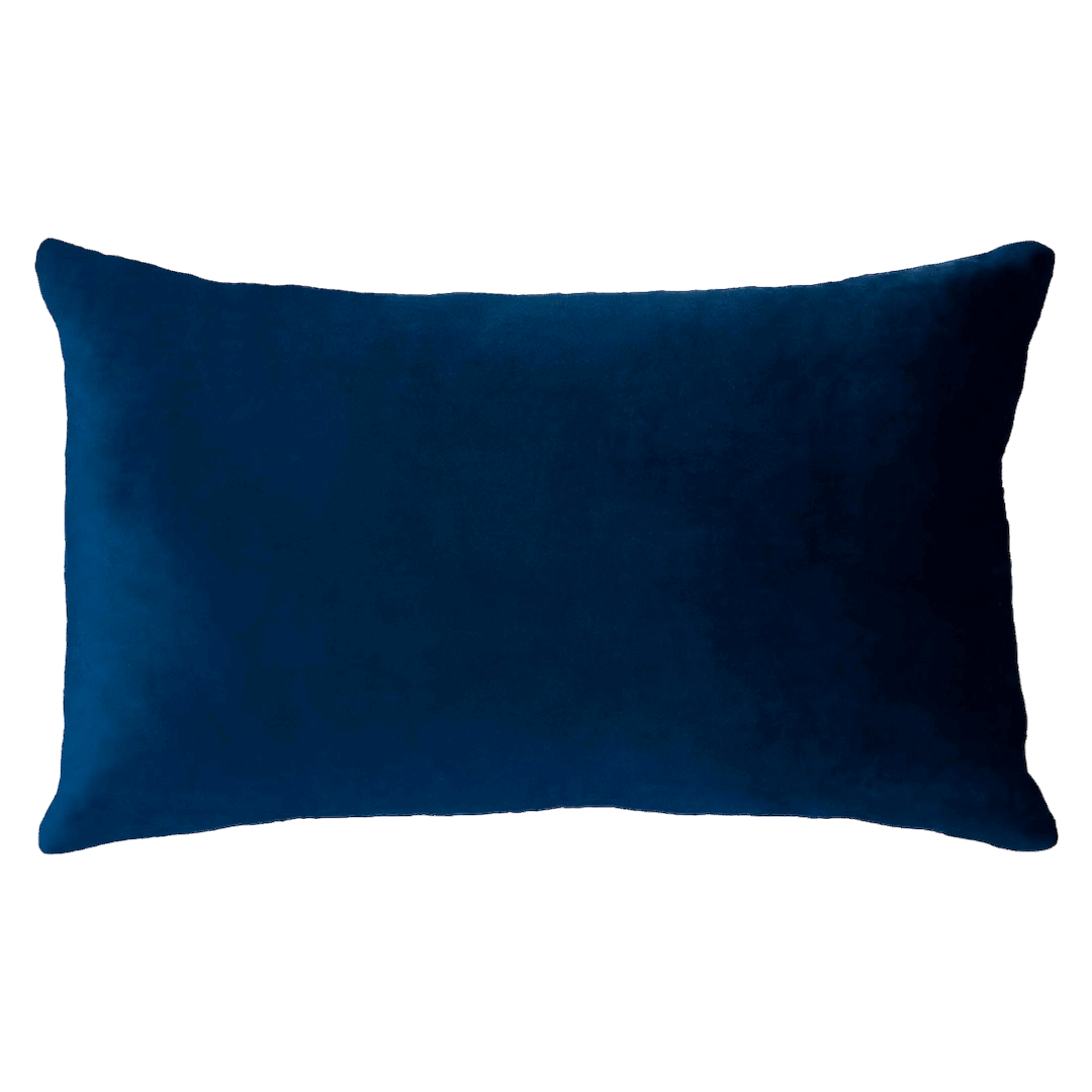 Netflix & Chill Needlepoint Cushion The Pillow Drop