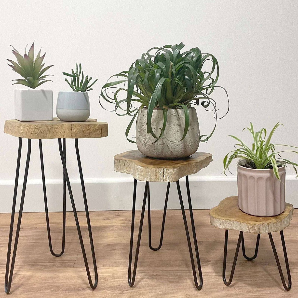 Set of 3 Gamal Wood Plant Stands - Greenwash AW Dropship UK